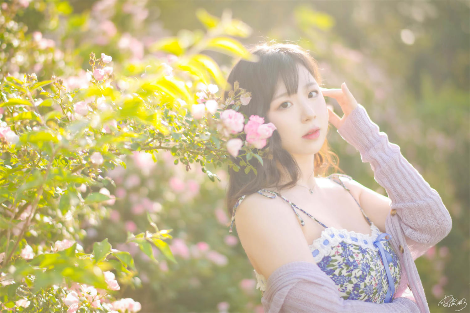 皮皮奶 Booty 蔷薇花8