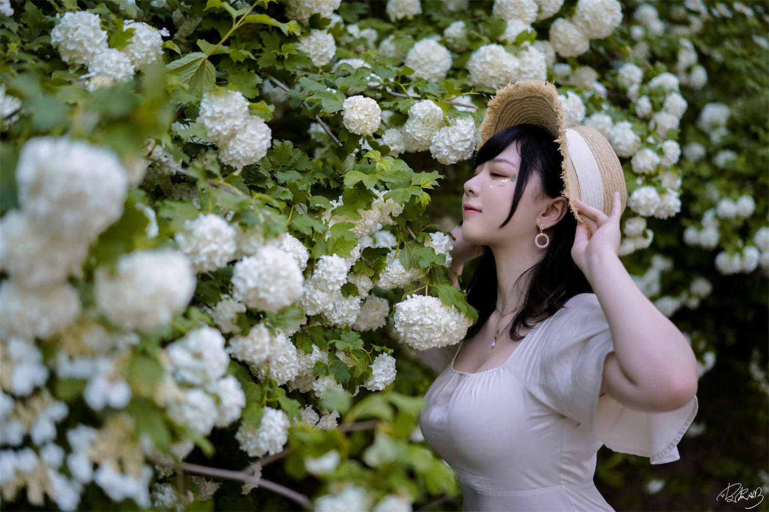 皮皮奶 Booty 绣球花5