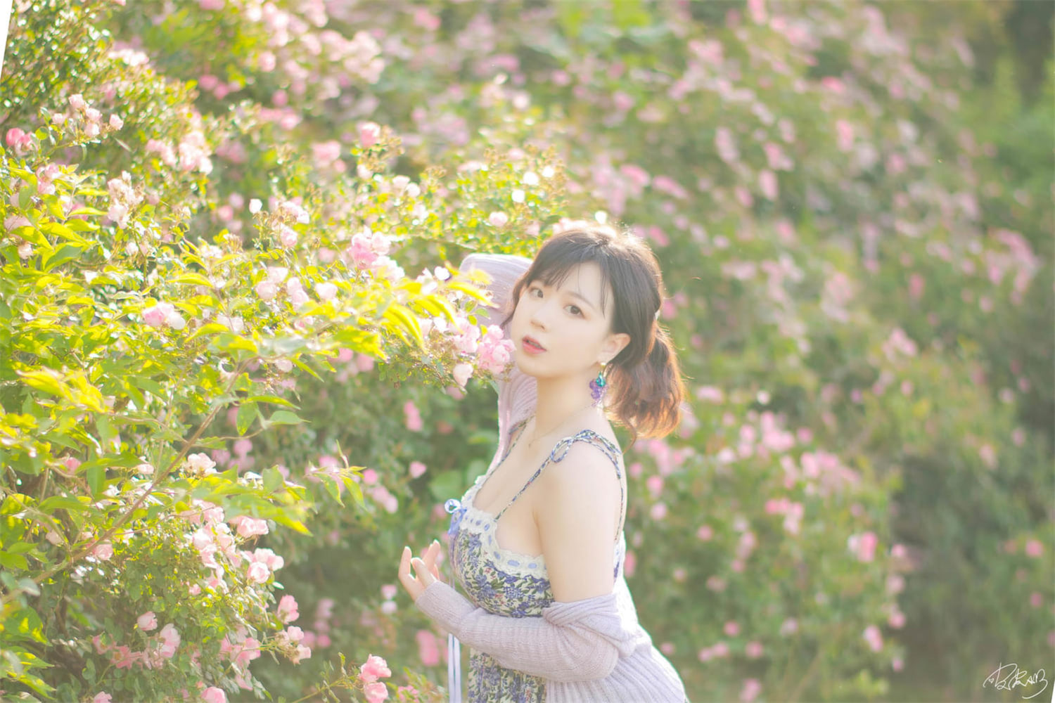 皮皮奶 Booty 蔷薇花13