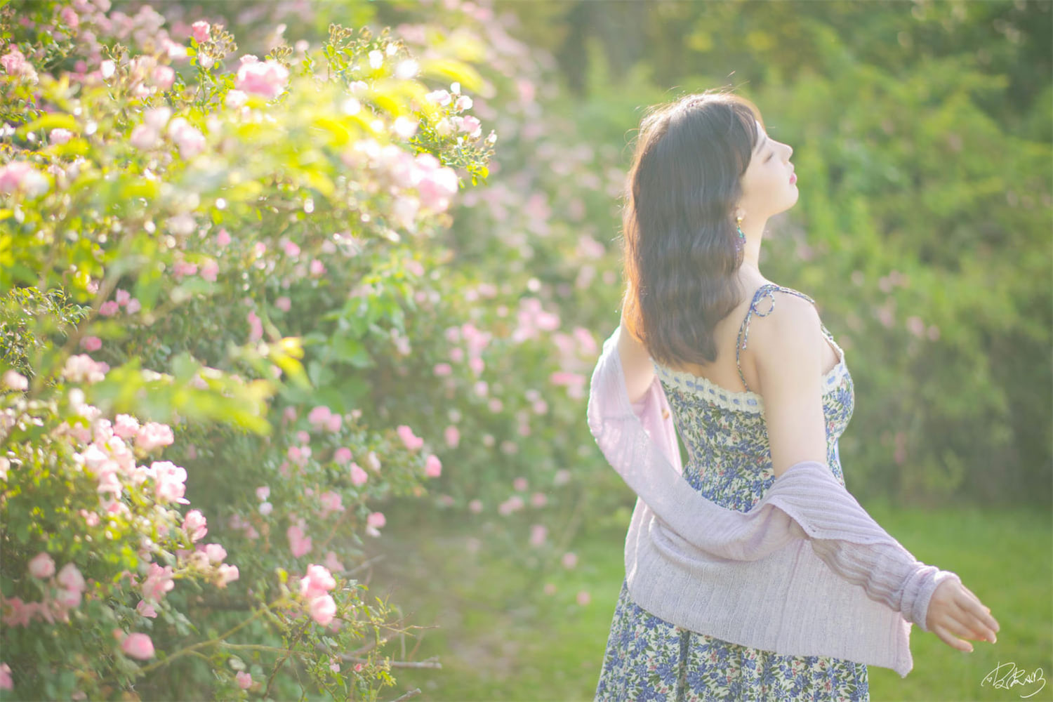 皮皮奶 Booty 蔷薇花14