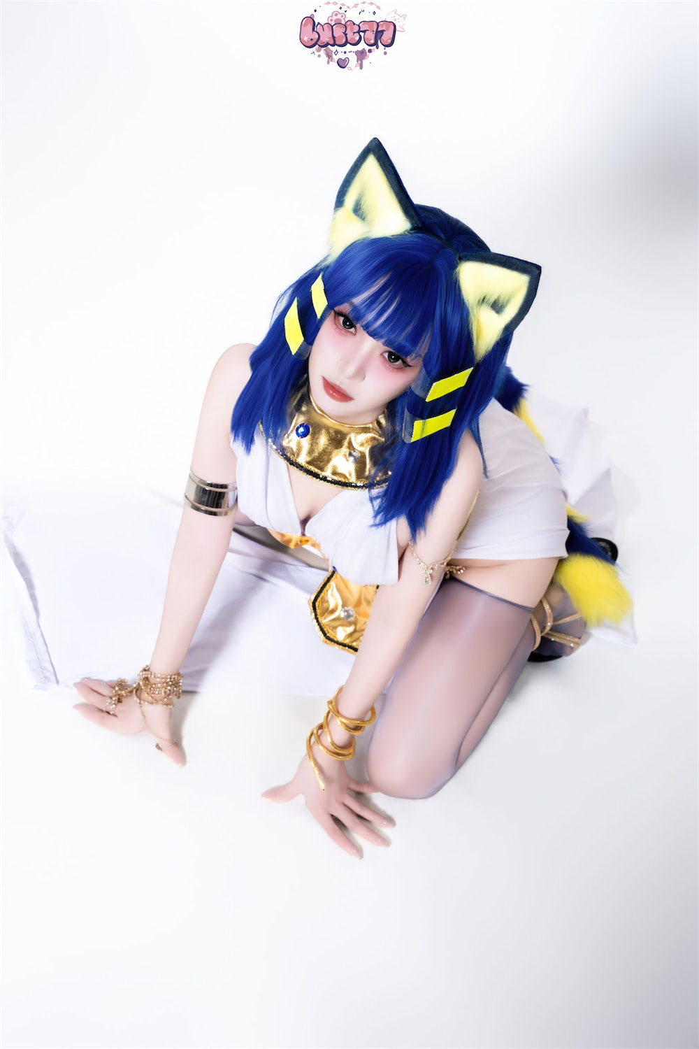 柒柒要乖哦 白埃及猫13